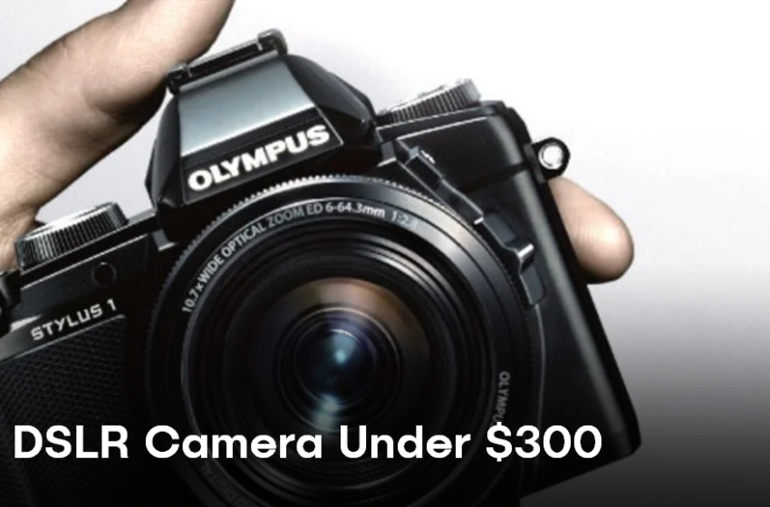  Best DSLR Camera Under $300 in USA (2022 Update)