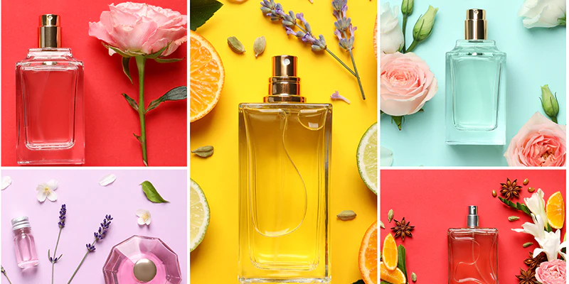  Guide to Understand Popular Fragrance Types